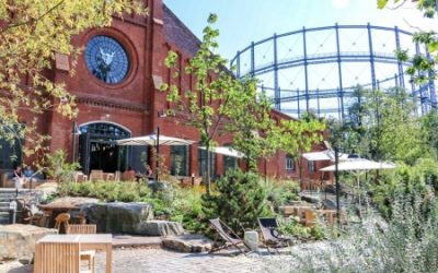 Stone Brewing